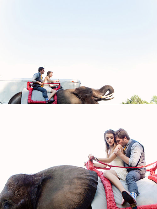 circus inspired summer wedding photos by top Michigan based wedding photographers Studio 6.23