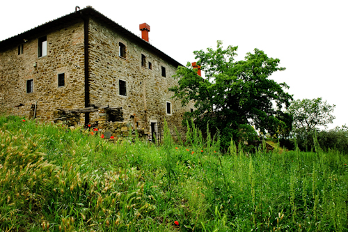 Italian villa wedding in Tuscany | junebugweddings.com