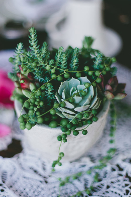 vintage backyard wedding in Phoenix, Arizona, photos by Mike Olbinski Photography