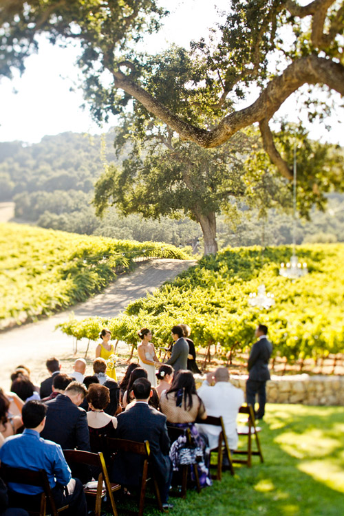 Elegant Yellow Wedding at HammerSky Vineyards - photos by Mike Larson | Junebug Weddings