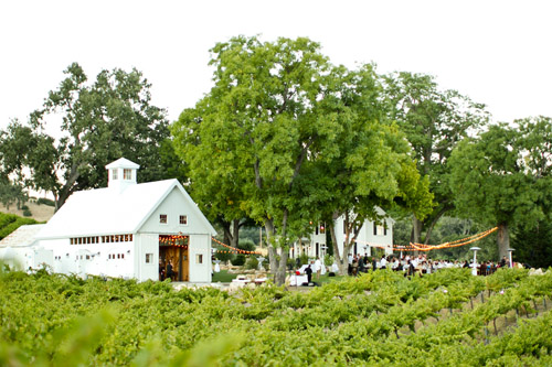 Elegant Yellow Wedding at HammerSky Vineyards - photos by Mike Larson | Junebug Weddings