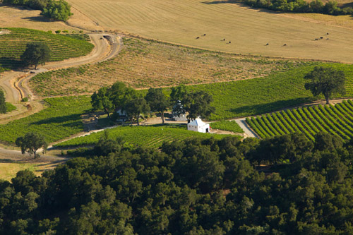 Elegant Yellow Wedding at HammerSky Vineyards - photos by Mike Larson | Junebug Weddings