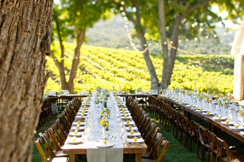 Elegant Yellow Wedding at HammerSky Vineyards - photos by Mike Larson | Junebug Weddings