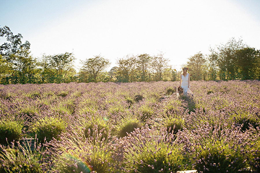 lavender farm wedding inspiration photo shoot with photos by Jennifer Ballard Photography | via junebugweddings.com