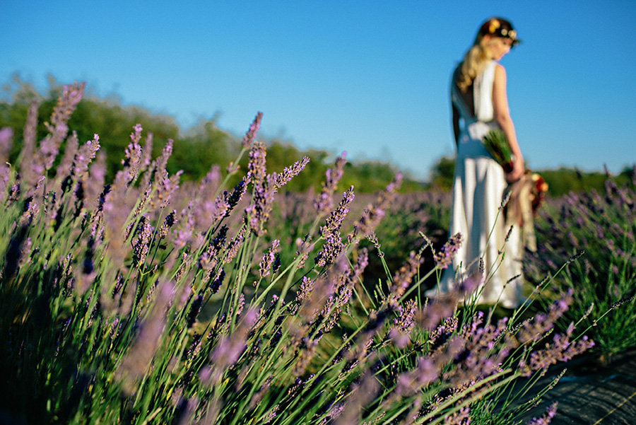 lavender farm wedding inspiration photo shoot with photos by Jennifer Ballard Photography | via junebugweddings.com