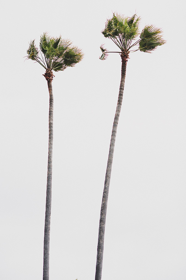 pink and white beach wedding at Montage Laguna Beach in California, photos by Erik Clausen  | via junebugweddings.com