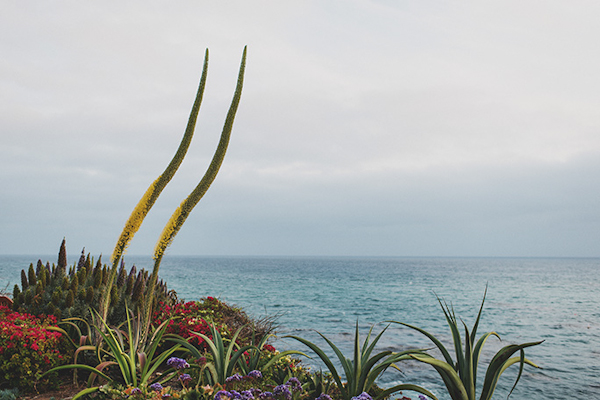 pink and white beach wedding at Montage Laguna Beach in California, photos by Erik Clausen  | via junebugweddings.com