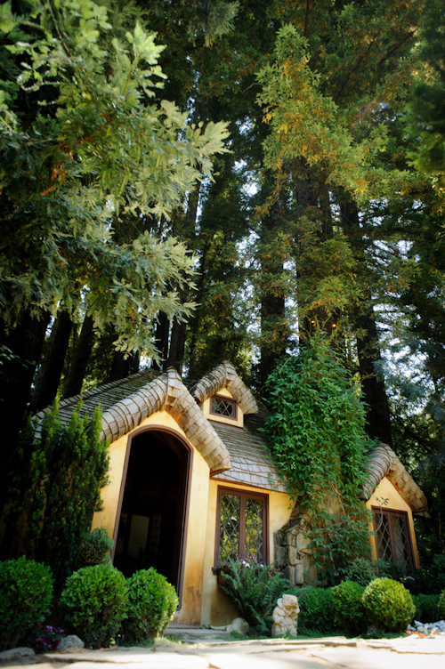 Schoolhouse themed wedding from Bellalu Photography | junebugweddings.com