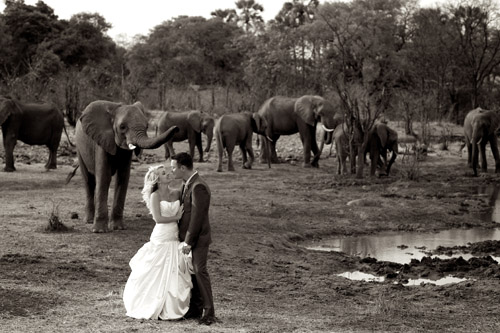 destination weddings in South Africa by Wedding Concepts | via junebugweddings.com