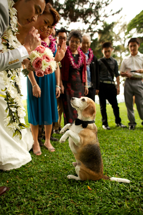 Tropical destination wedding at Olowalu Plantation House in Olowalu, Hawaii - photos by Anna Kim Photography | junebugweddings.com