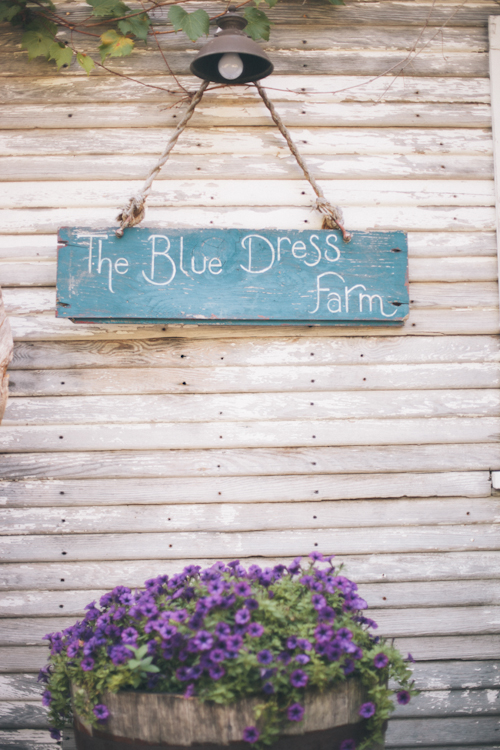 vintage inspired wedding at Blue Dress Barn in Michigan, with photos by Heather Jowett Photography | junebugweddings.com