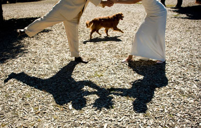 Sweet wedding couple shadow portrait with their dog by Barbie Hull Photography