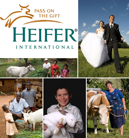 Charitable wedding registries and gifts from Heifer.org