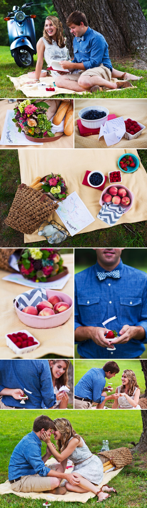 blue and white chevron print wedding decor, picnic engagement inspiration shoot in Charlottesville, Virginia, photos by Holland Photo Arts