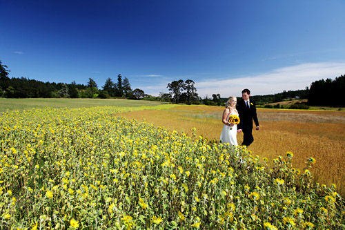 summer sunflower vineyard wedding at Church & State Winery in Brentwood Bay, BC, photos by Chris + Lynn