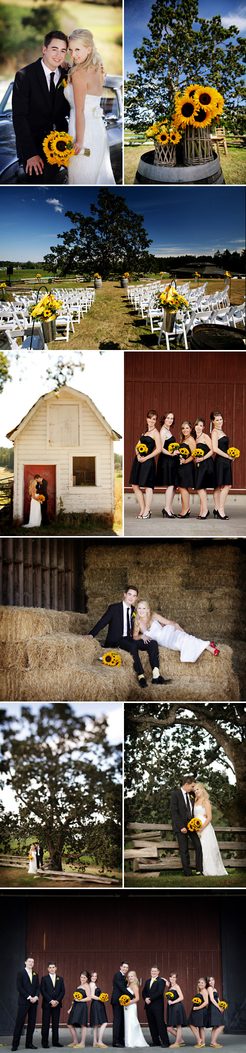 summer sunflower vineyard wedding at Church & State Winery in Brentwood Bay, BC, photos by Chris + Lynn