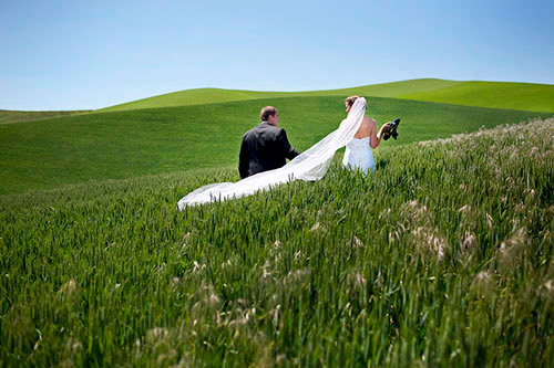 wedding photo by Laura Marchbanks Photography