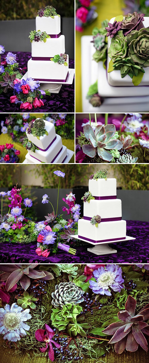 succulent wedding cake design by Erica O'Brien, amazing southern california wedding cakes, images by Charla Blue Photography