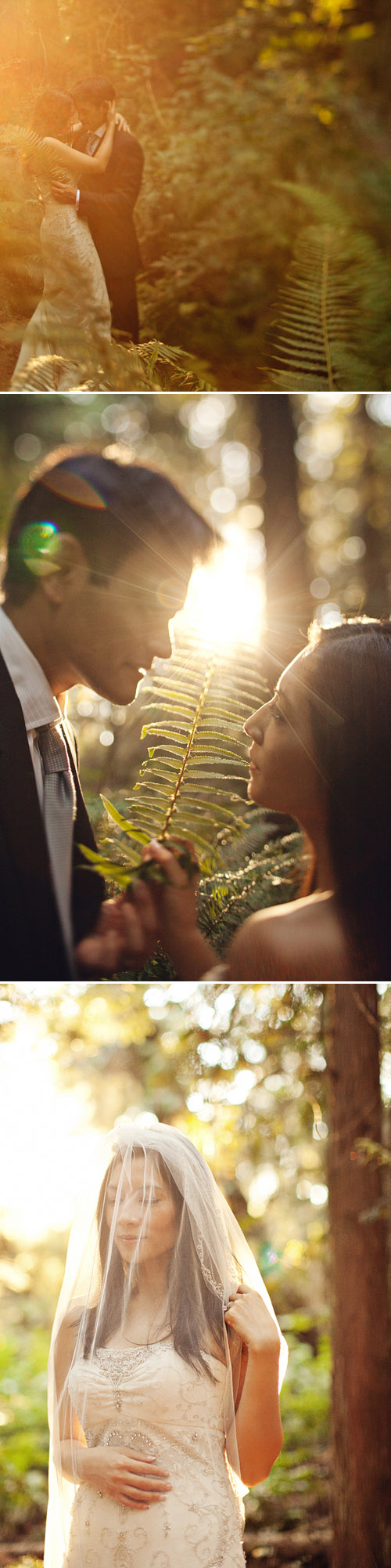 Vancouver, BC day-after wedding photos in the Pacific Northwest scenery, photos by Lucida Photography