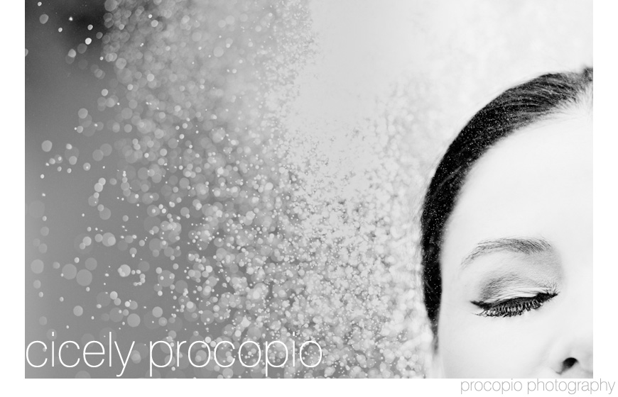 Best photo of 2011 - Cicely Procopio, Procopio Photography - top D.C., Maryland, Baltimore wedding photographer