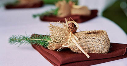Sapling wedding favor by Evergreen memories, photo by Cheri Pearl Photography