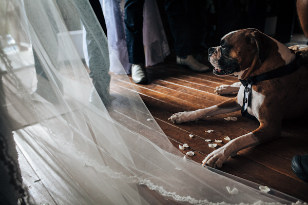 casual rustic wedding in Kent, Washington with photos by ANZA foto + film