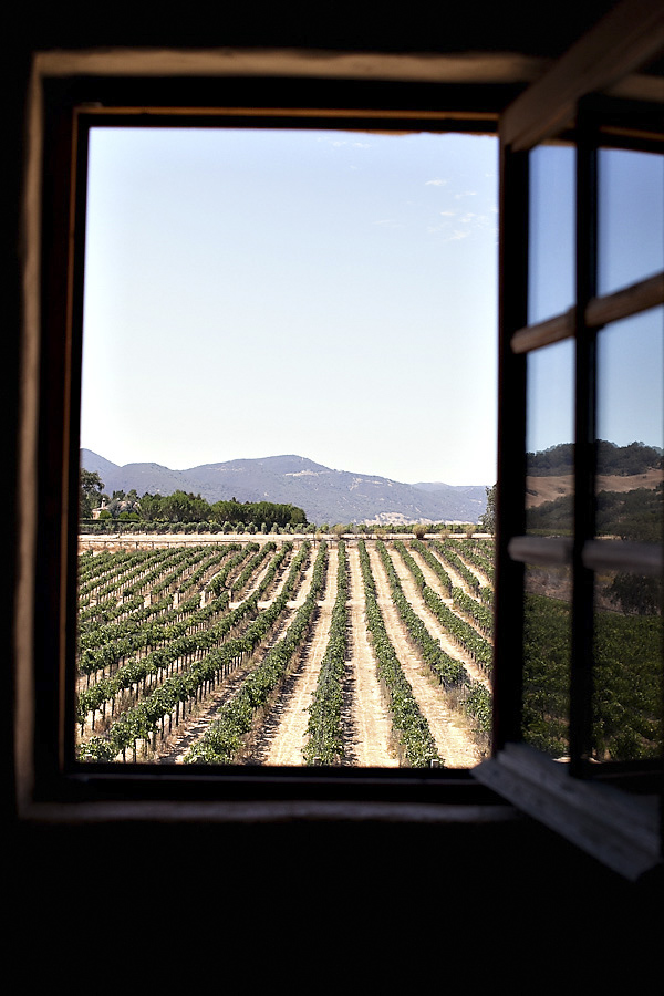 vineyard wedding at Sunstone Winery, Santa Ynez, California, photos by Santa Barbara, CA wedding photographers Ashleigh Taylor Photography | via junebugweddings.com