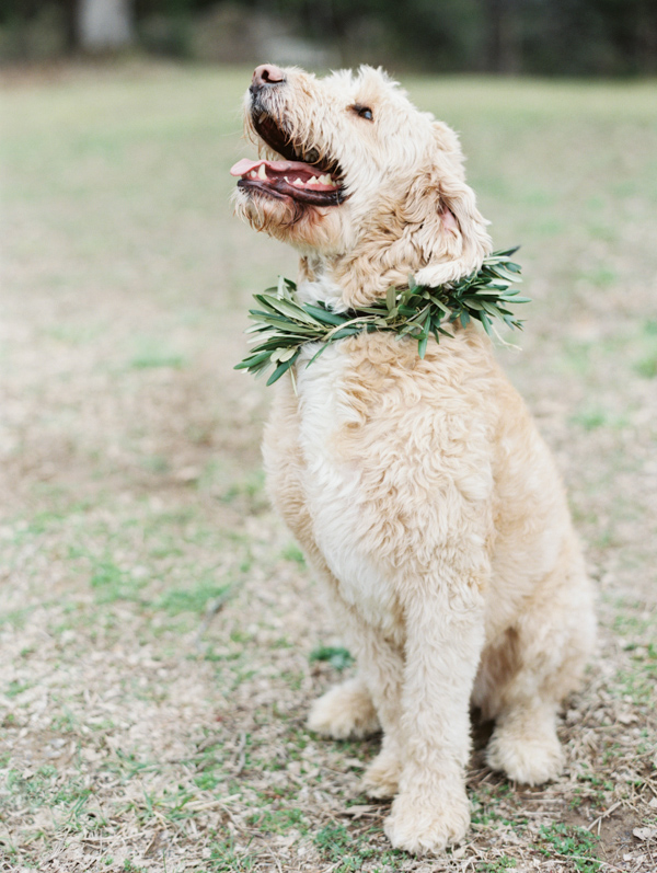 romantic pastoral wedding on a Tennessee farm with photos by Erich McVey | via junebugweddings.com