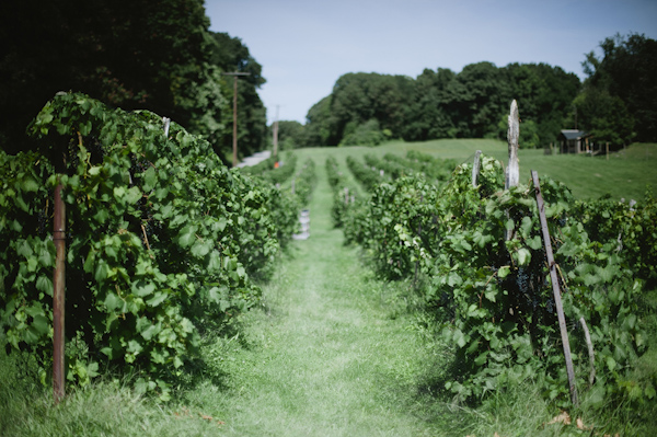 woodland wedding at Benmarl Winery, New York, photo by Richard Israel | via junebugweddings.com