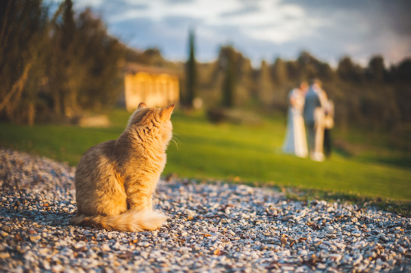 picturesque elopement in Tuscany with photography by Roberto Panciatici | via junebugweddings.com (15)