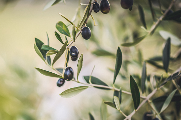 picturesque elopement in Tuscany with photography by Roberto Panciatici | via junebugweddings.com (27)