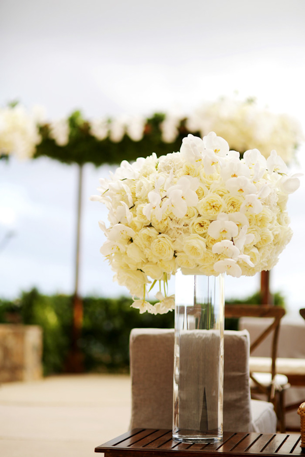 destination wedding in Cabo with photos by Chris + Lynn Photographers | via junebugweddings.com