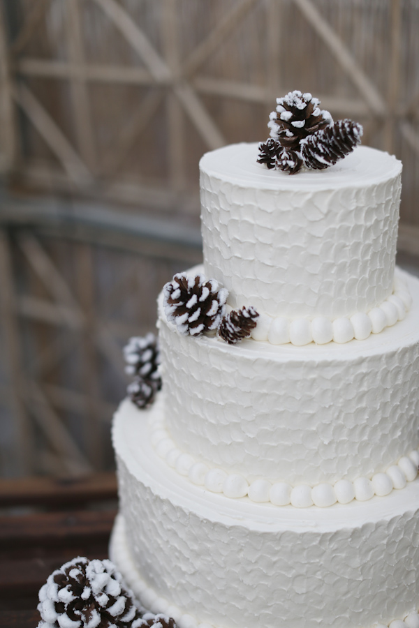 warm and cozy winter wedding, photo by Alison Conklin Photography | via junebugweddings.com