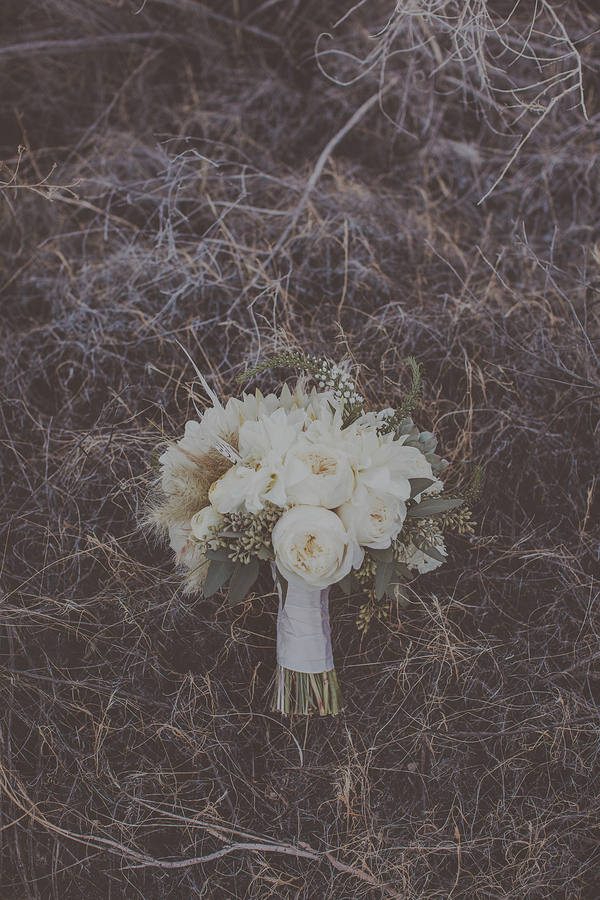 Adventurous Desert Elopement, Photo by Blue Window Creative