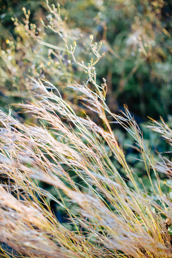 elopement inspiration photo shoot in Sicily, Italy with photography by Stefano Santucci | via junebugweddings.com