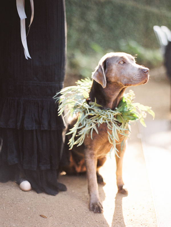 organic black & white wedding inspiration photo shoot, photo by Taylor Lord Photography | via junebugweddings.com