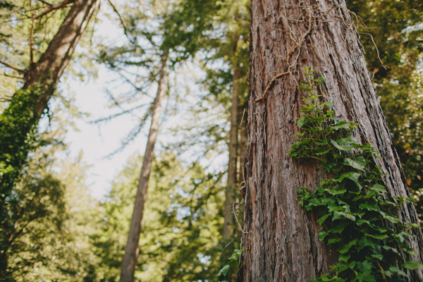 whimsical garden wedding in Boony Doon, California, photo by Sun + Life Photography | via junebugweddings.com (34)