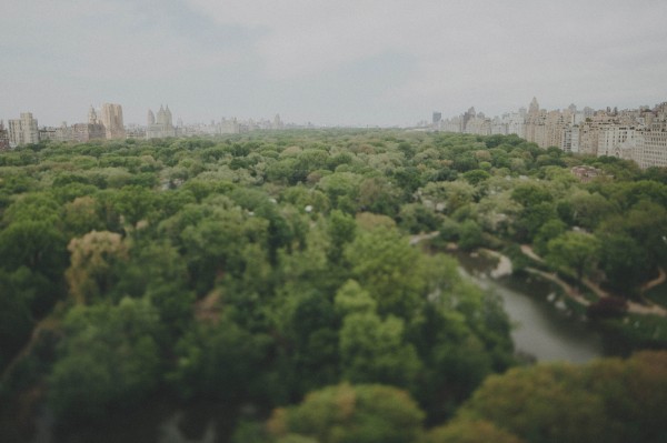 New York city landscape