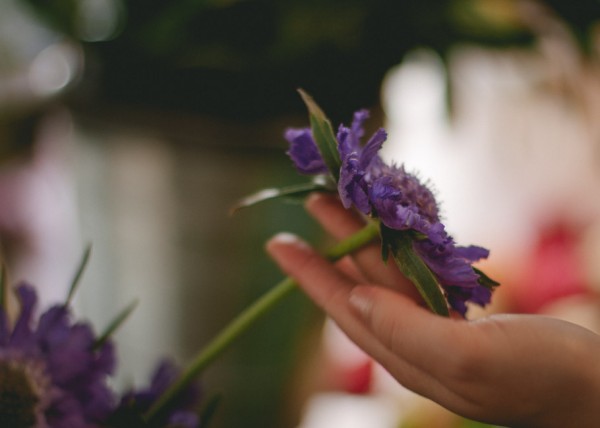 Olla Flower Shop in Vancouver