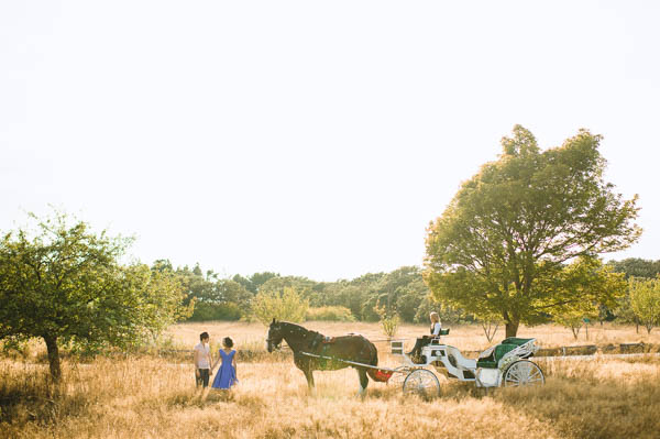quirky picnic wedding horse and carriage