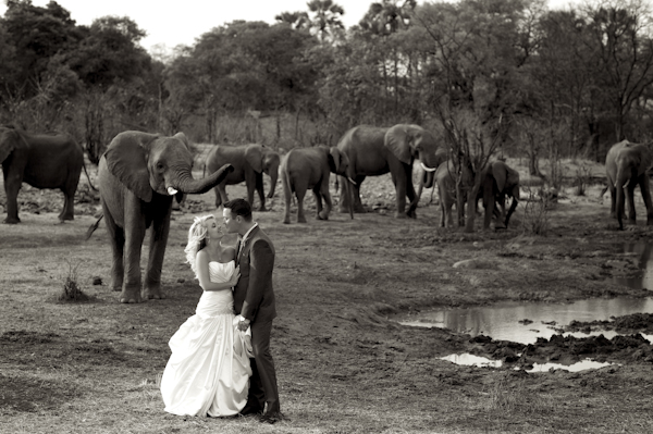 safari weddings in South Africa, photo by Ryan Graham | via junebugweddings.com