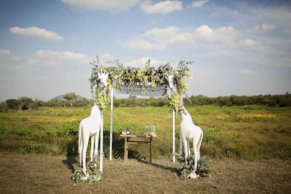 safari weddings in South Africa, photo by Tyme Photography | via junebugweddings.com