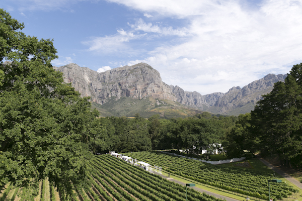 vineyard weddings in South Africa, photo by ZaraZoo Wedding Photography | via junebugweddings.com