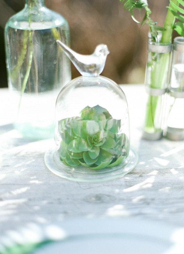 succulent table piece