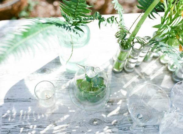 ferns and succulent table decor