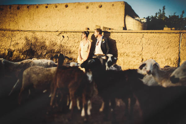 couple's portrait with local animals