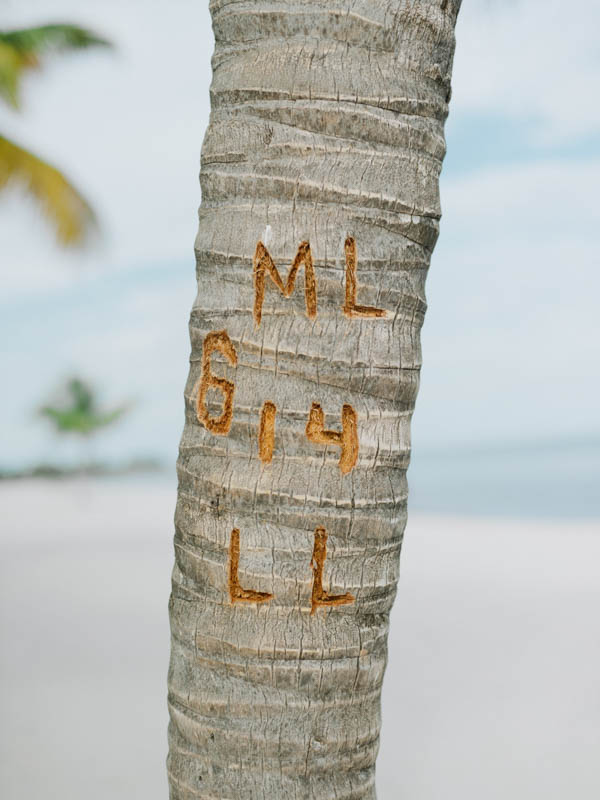 couple's initials in a palm tree