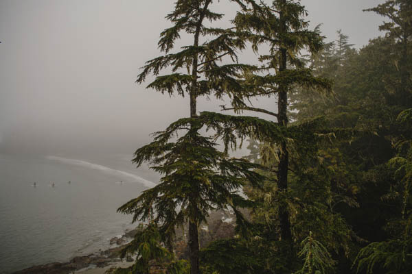 beautiful Tofino, BC