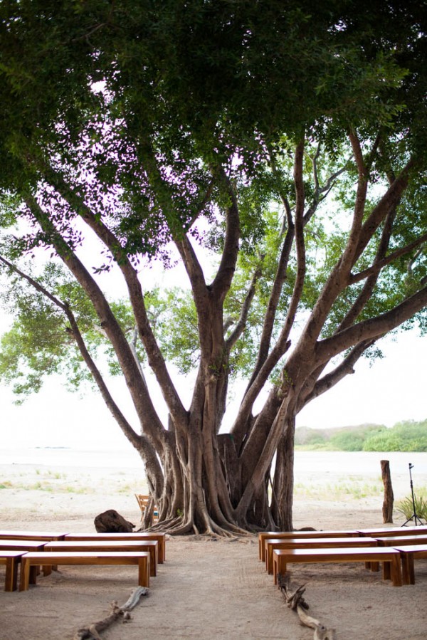 simple, natural wedding altar