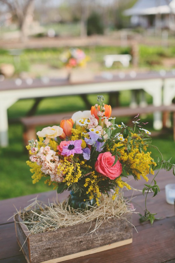 Colorful-Austin-Wedding-Springdale-Farms-15